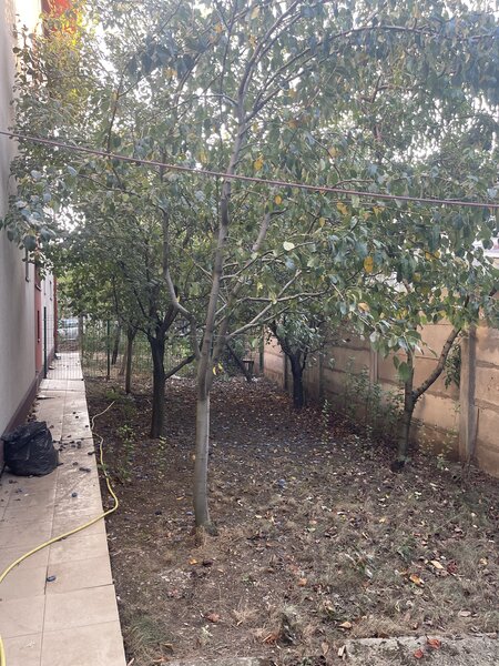 Prelungirea Ghencea, Margelelor, ap. 2 camere, curte 120 mp.