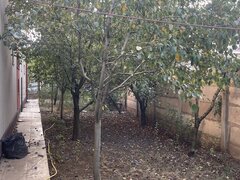 Prelungirea Ghencea, Margelelor, ap. 2 camere, curte 120 mp