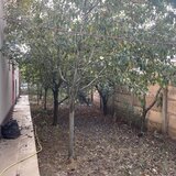 Prelungirea Ghencea, Margelelor, ap. 2 camere, curte 120 mp